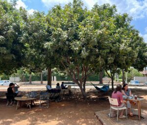 עגלת קפה הפוכות חיבת ציון 2