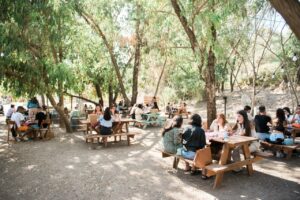 עגלת קפה תחנת קפה משק אופיר אלון הגליל 13