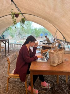 קפה יער עגלת בית לחם הגלילית תמונה של אישה יושבת עם מחשב
