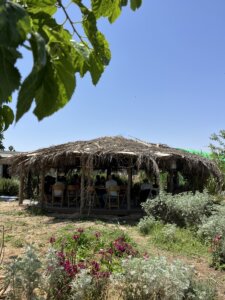 גאליתה עגלת קפה שובה תמונה של אנשים יושבים מתחת למחסה