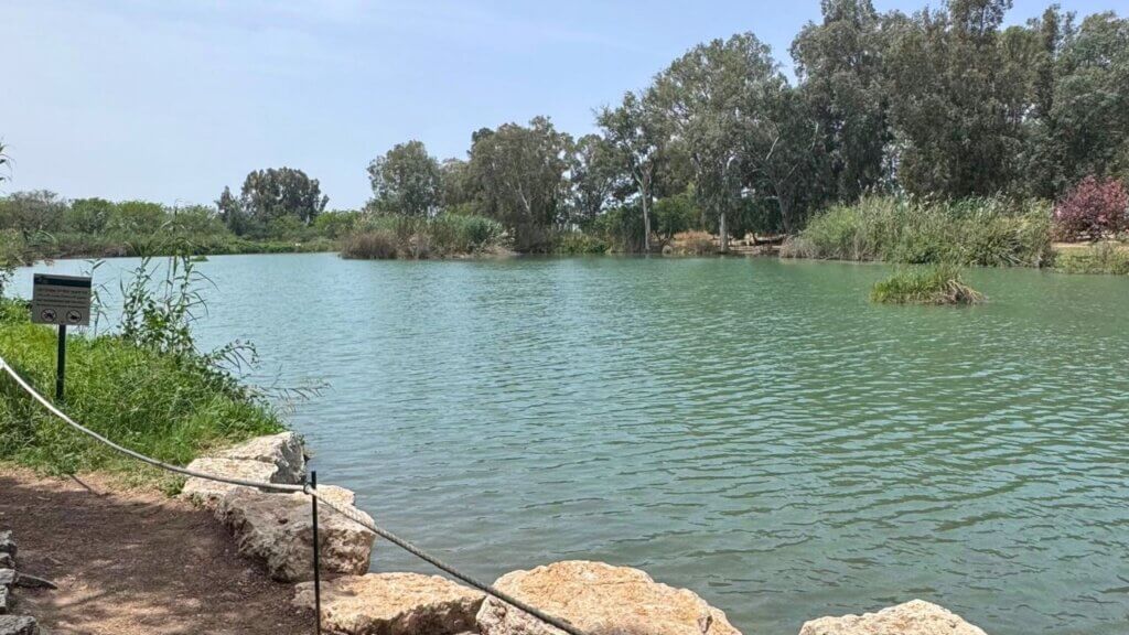 טיול לדרום השרון תמונה של תל אפק